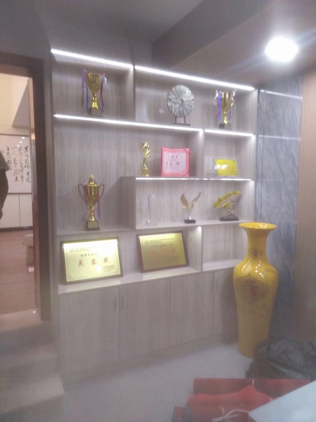 榮譽獎杯展示柜